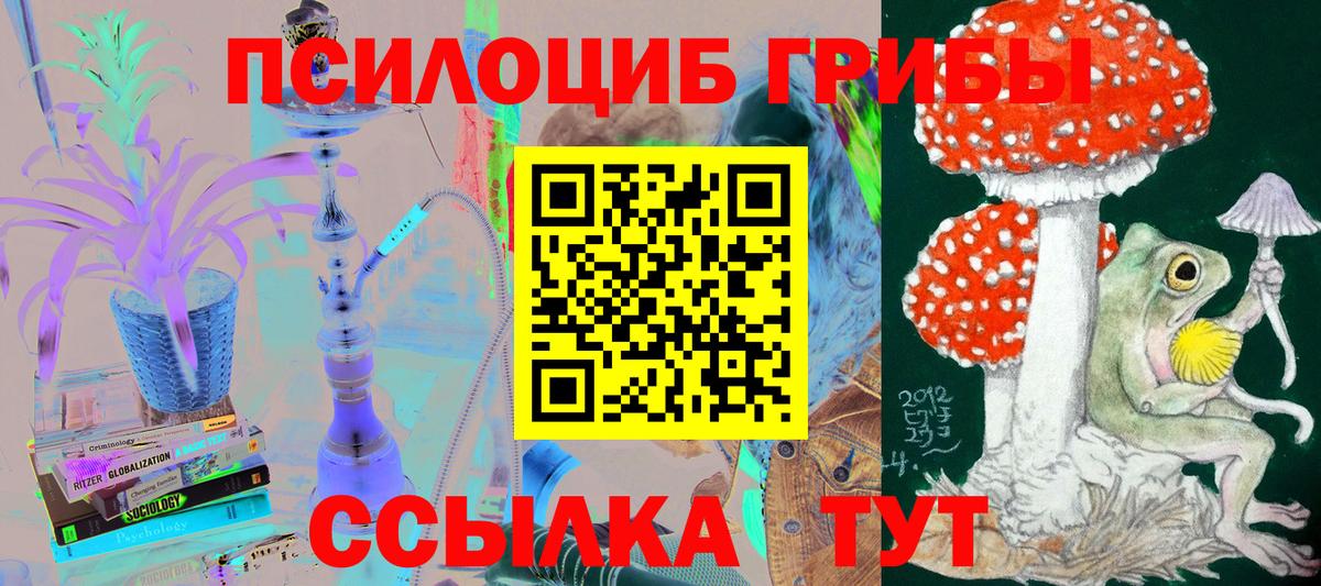 Новосибирск  купить   Вход с VPN  Псилоцибиновые грибы Psilocybine cubensis 